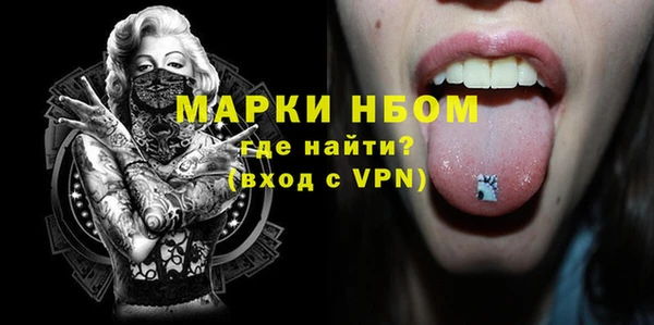 дживик Няндома