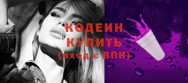 дживик Няндома