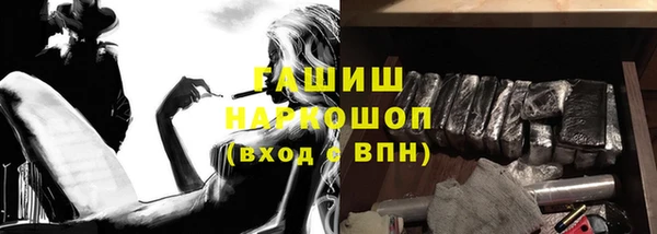 дживик Няндома