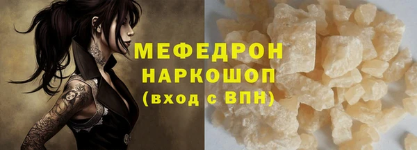 дживик Няндома