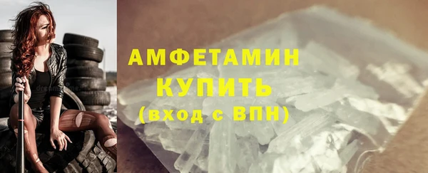 дживик Няндома