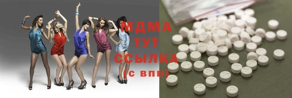дживик Няндома