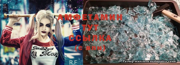 дживик Няндома