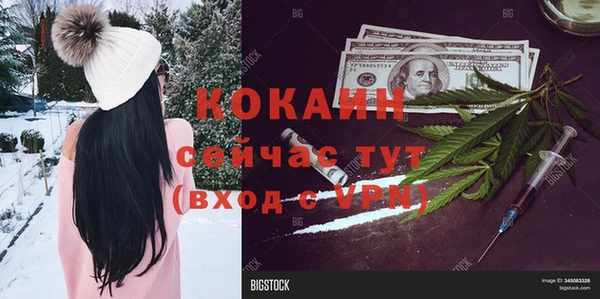мяу мяу мука Нязепетровск