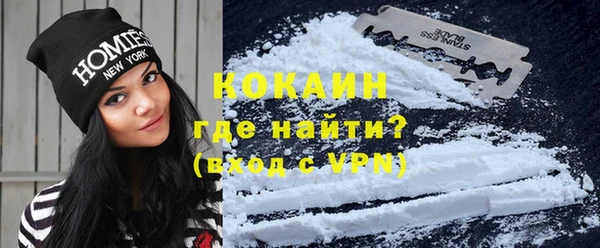 дживик Няндома