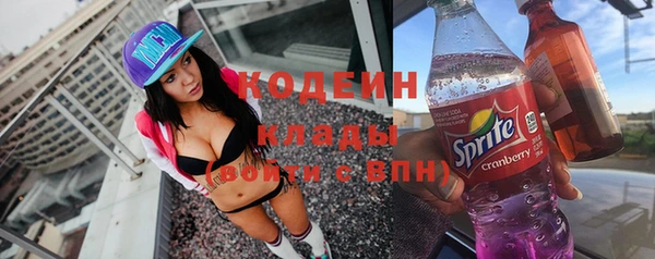 дживик Няндома