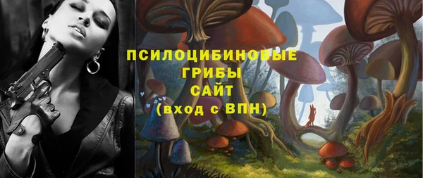 мяу мяу мука Нязепетровск