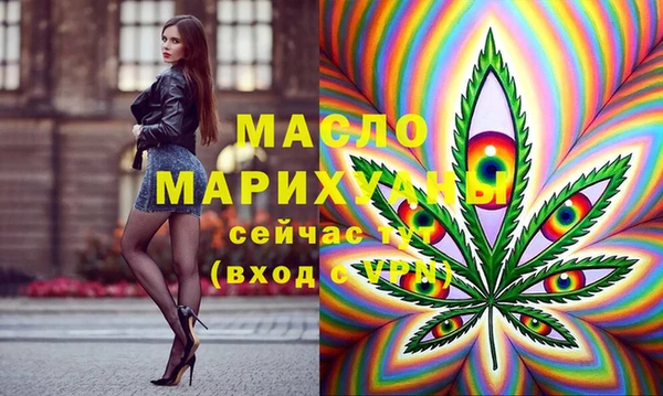 дживик Няндома