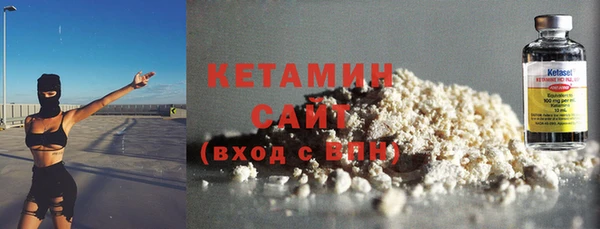 дживик Няндома