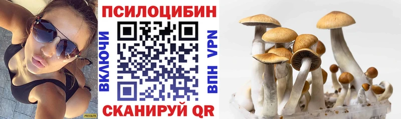 Галлюциногенные грибы Cubensis  OMG онион  Монино 