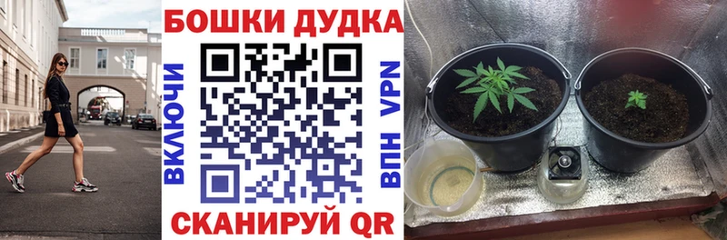 Бошки марихуана Bruce Banner Монино